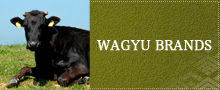 WAGYU BRANDS WAGYU MARKEN