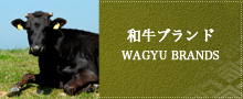 和牛ブランド WAGYU BRANDS