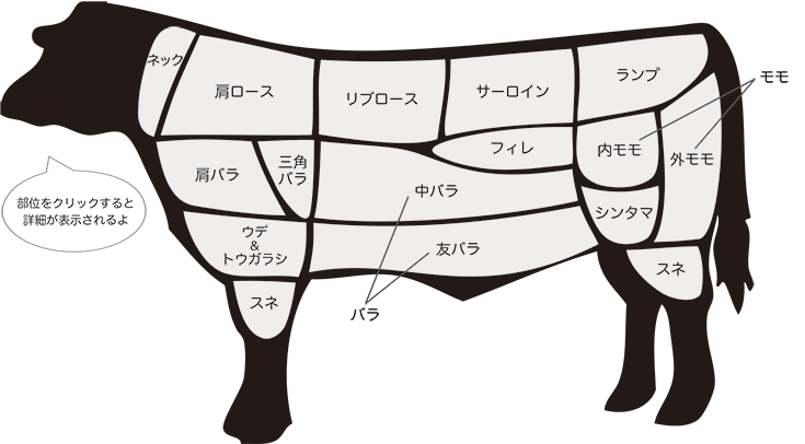 CUTS OF BEEF